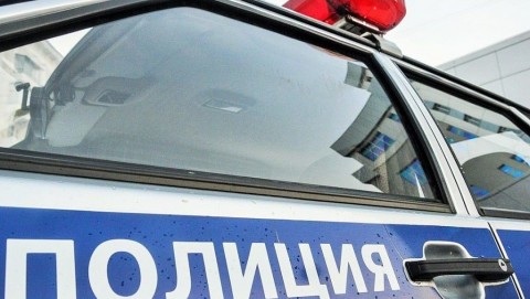 В Козульском районе сотрудники полиции выясняют обстоятельства ДТП с участием животных